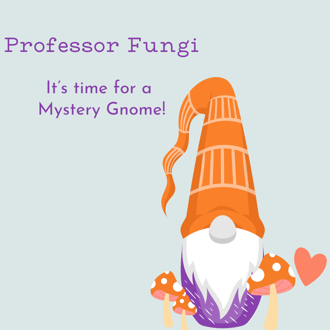 Professor Fungi MKAL Kits